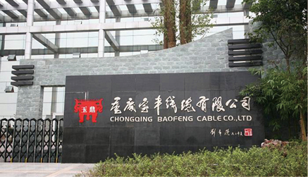 重庆-宝丰线缆办公楼 